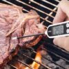 Waterproof Wireless Smart Meat Thermometers Digital for Cooking