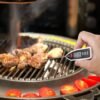 Wireless Cooking Food Thermometer