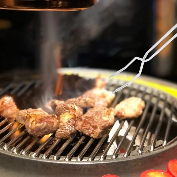 imgi_445_He11add705260407b9b6e25cc3085cdc5Q BBQ Skewers Two-pronged Metal Barbecue Skewers with pp Handle