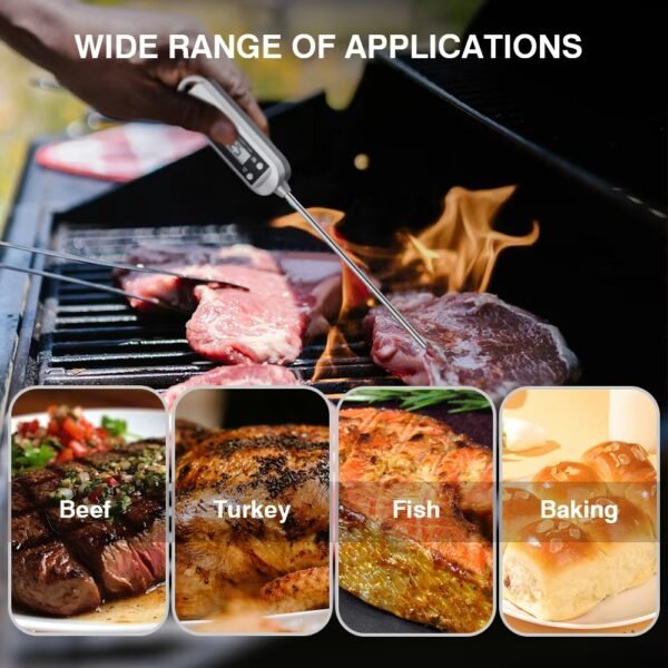 Pocket Pen Digital Thermometer